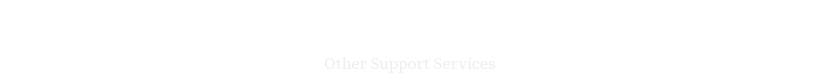 其他支持服务