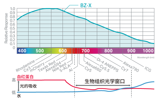 可清晰地捕捉各种标本。“无妥协的一体化设计”